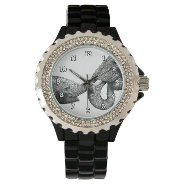 African Elephants Watch (Front)