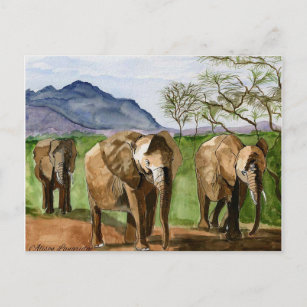 African Elephants Watercolor Painting Postcard