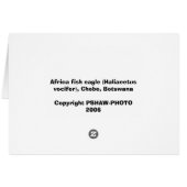 African Fish Eagles Cards (Back Horizontal)
