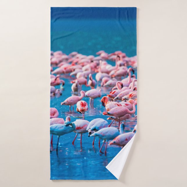 African flamingos. Group of flamingos stand in the Bath Towel (Bath Towel)