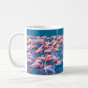African flamingos. Group of flamingos stand in the Coffee Mug