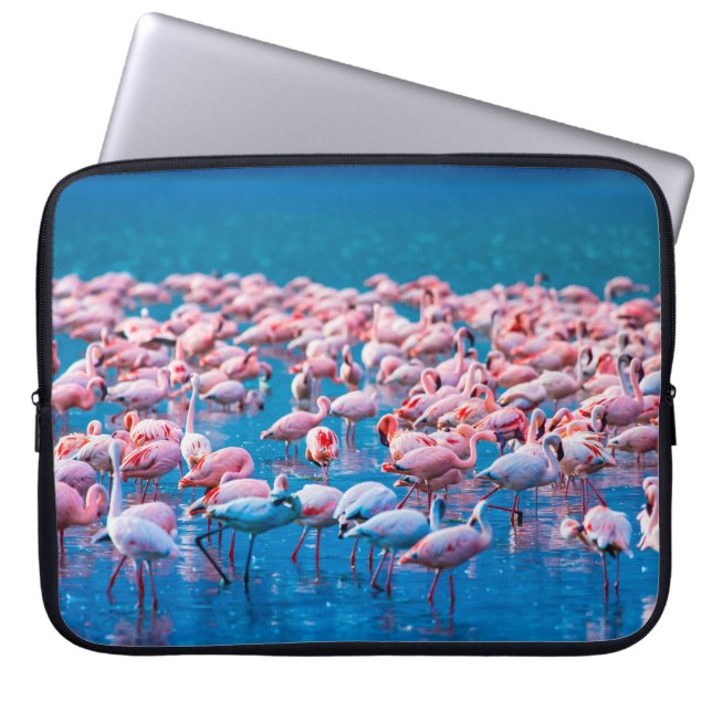 African flamingos. Group of flamingos stand in the Laptop Sleeve (Front)