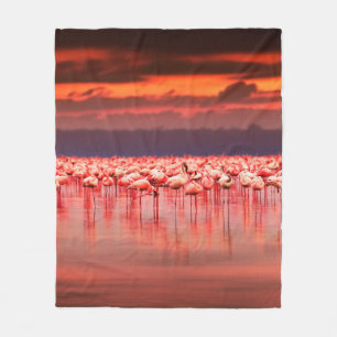 African flamingos in the lake over beautiful sunse fleece blanket