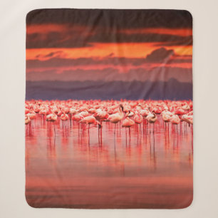 African flamingos in the lake over beautiful sunse sherpa blanket