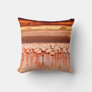 African flamingos in the lake over beautiful sunse throw pillow
