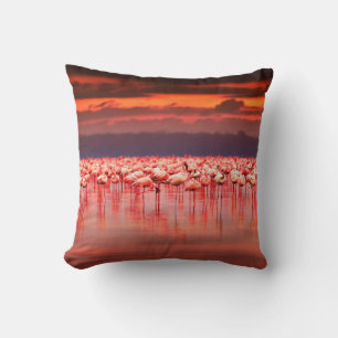 African flamingos in the lake over beautiful sunse throw pillow