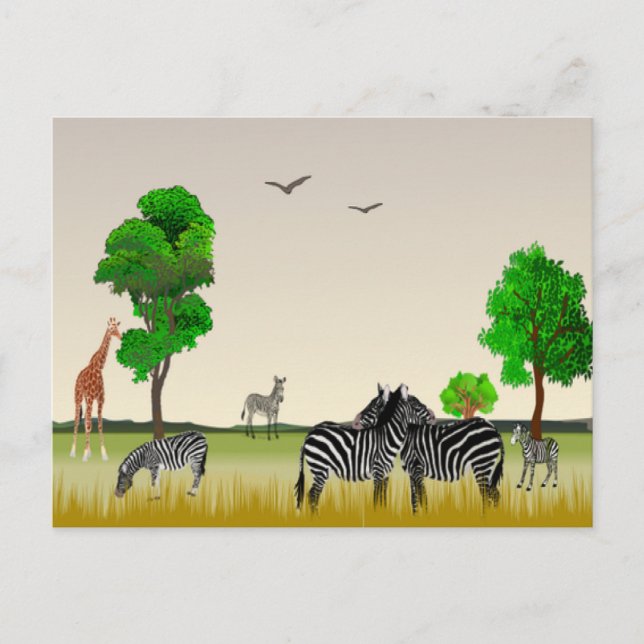 African game reserve postcard (Front)