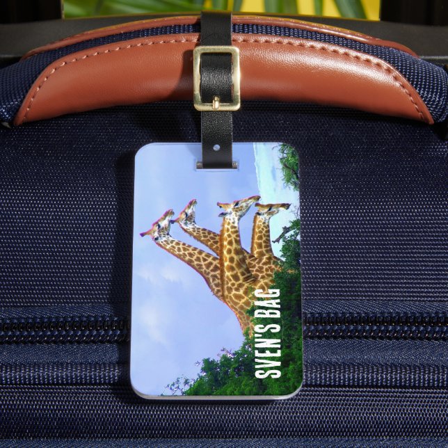 African Giraffe 4 Heads Luggage Tag (Front Insitu 2)