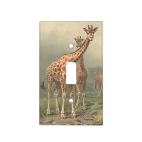 African giraffe in the savanna light switch cover