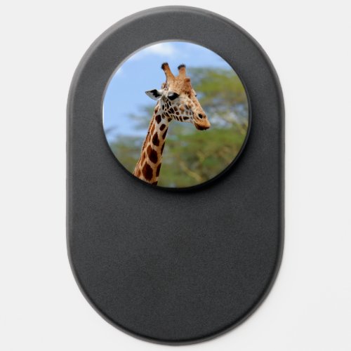 African Giraffe Wild Wildlife Animal PopSocket