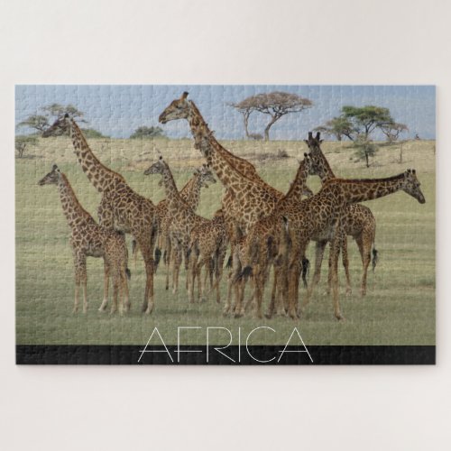 african giraffes jigsaw puzzle