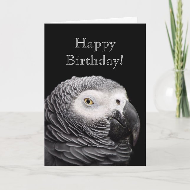 African Gray Parrot Card (Front)
