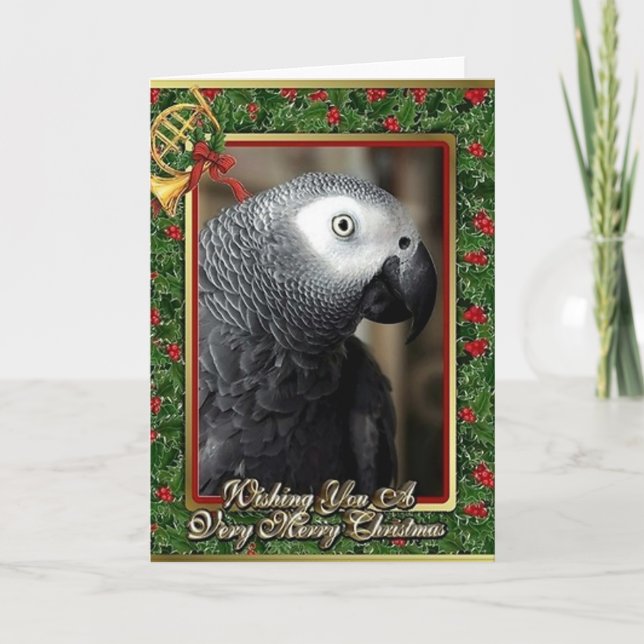 African Gray Parrot Christmas Card (Front)