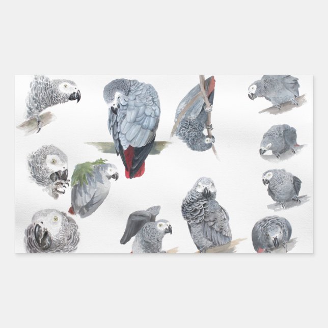 African Gray Parrot. Exclusive designed by Griff Rectangular Sticker (Front)