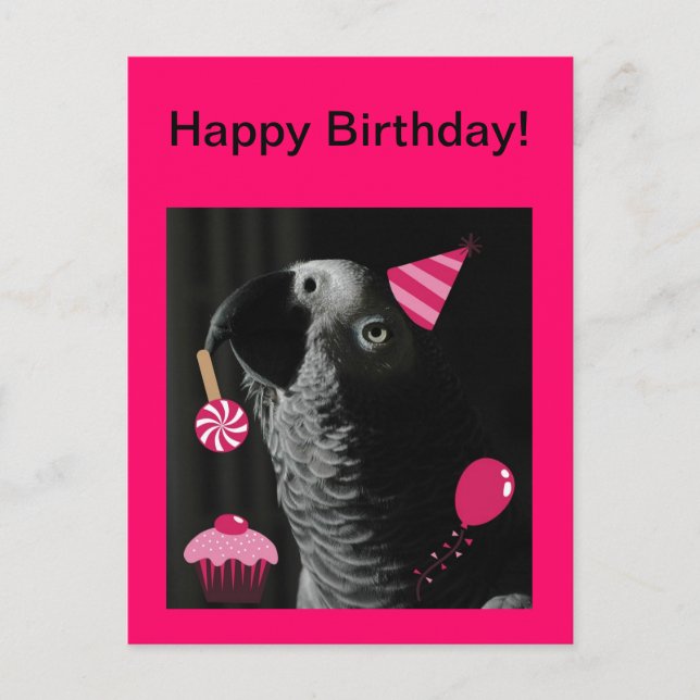 African Gray Parrot Happy Birthday Postcard (Front)