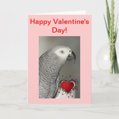 African Gray Parrot Happy Valentines Day Card