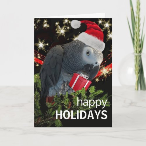 African Gray Parrot Holiday Season Card