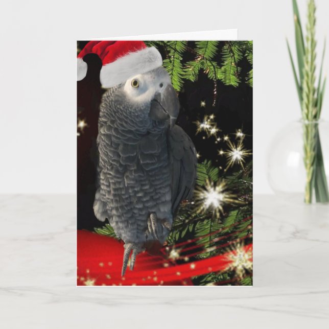 African Gray Parrot Holiday Season Card (Front)