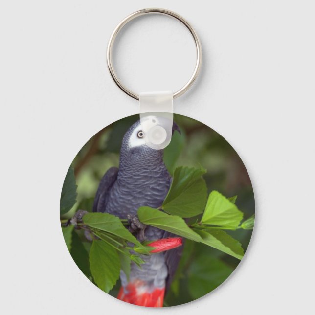African gray parrot keychain (Front)