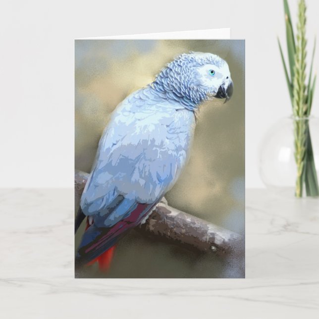 African Gray Parrot Portrait Cards (Front)