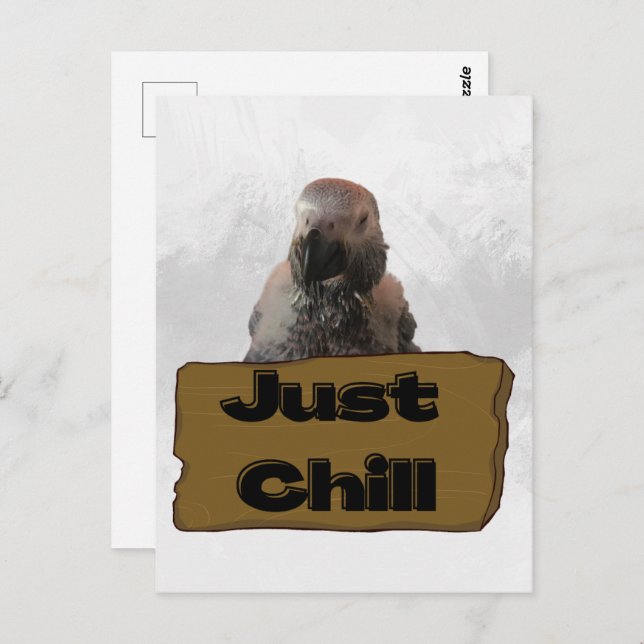 African gray parrot, Postcrossing Postcard (Front/Back)