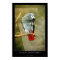 African Gray Parrot