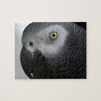 African Gray Parrot Puzzle by KKHPhotosVarietyShop at Zazzle