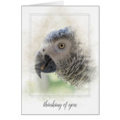 African Gray-thinking of you (Front)