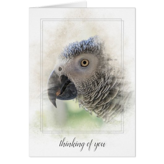 African Gray-thinking of you Cards (Front)