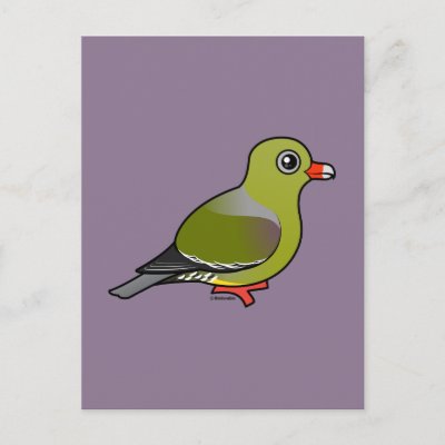 African Green Pigeon Postcard