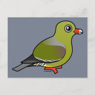 African Green Pigeon Postcard