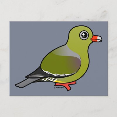 Cute Cartoon African Green Pigeon Gifts From Birdorable