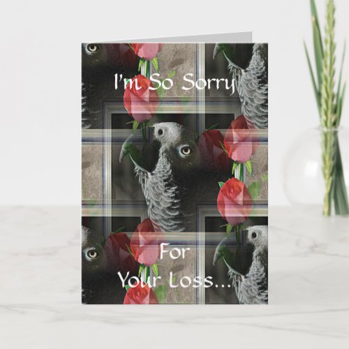 African Grey and Geometric Red Roses Card