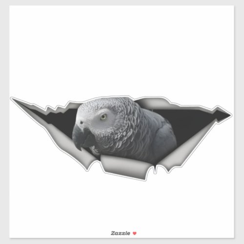 African Grey car decal, African Grey magnet Sticker