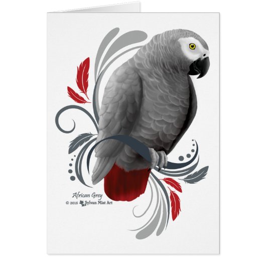 African Grey Cards (Front)