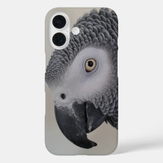 African Grey Face Closeup Phone Case