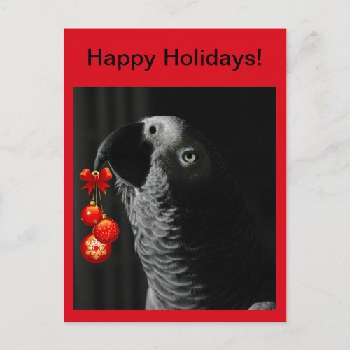 African Grey Happy Holidays Christmas Postcard