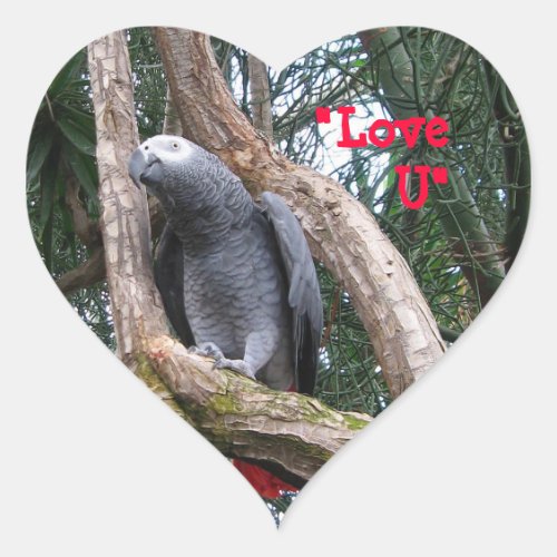 African Grey Heart Sticker