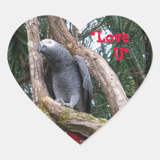 African Grey Heart Sticker