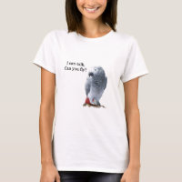 African Grey I can talk, can you fly?