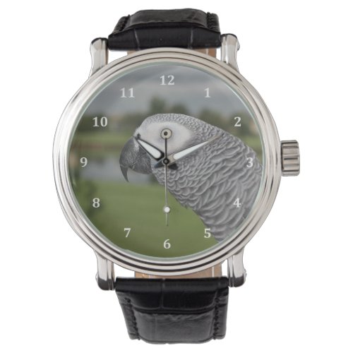 African Grey Lakeside Watch