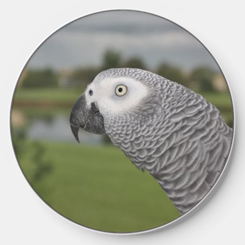 African Grey Lakeside Wireless Charger