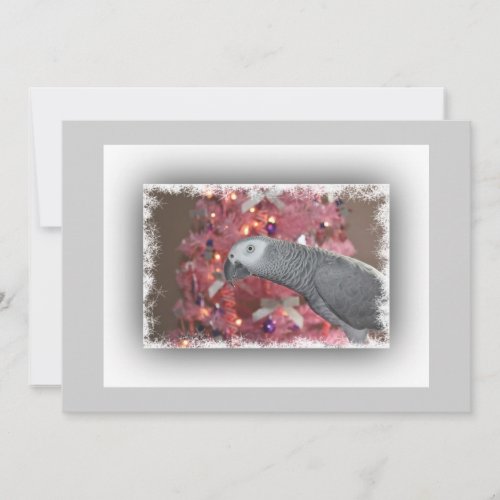 African Grey Parrot and Icy Pink Christmas Tree Holiday Card