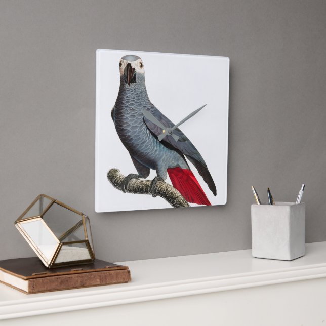 African Grey Parrot Art – Beautiful Exotic Bird Il Square Wall Clock (Office)