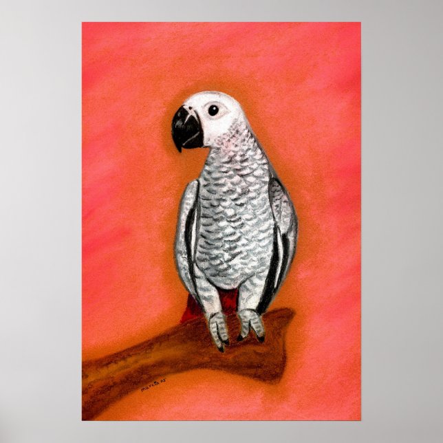 African Grey Parrot Bird Portrait Poster (Front)