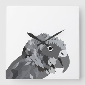 African Grey Parrot Bird