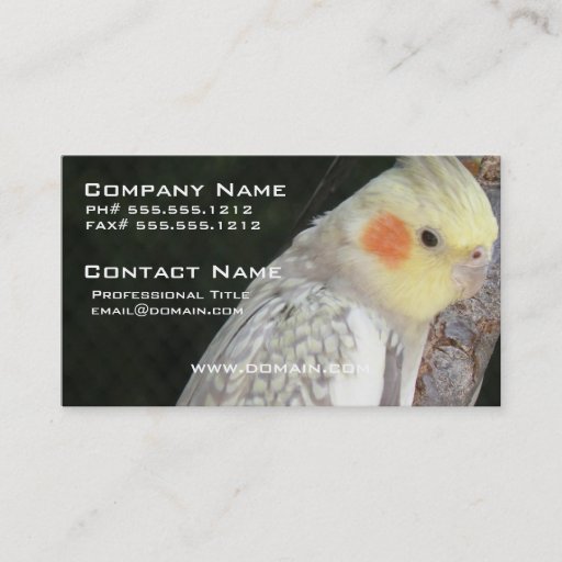 Customizable African Grey Parrot Business Card