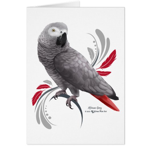 African Grey Parrot Cards (Front)