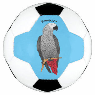 African grey parrot cartoon illustration soccer ball