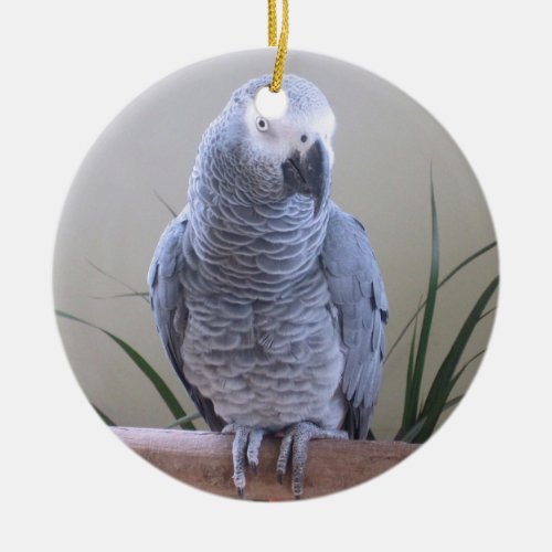 African Grey Parrot Ceramic Ornament